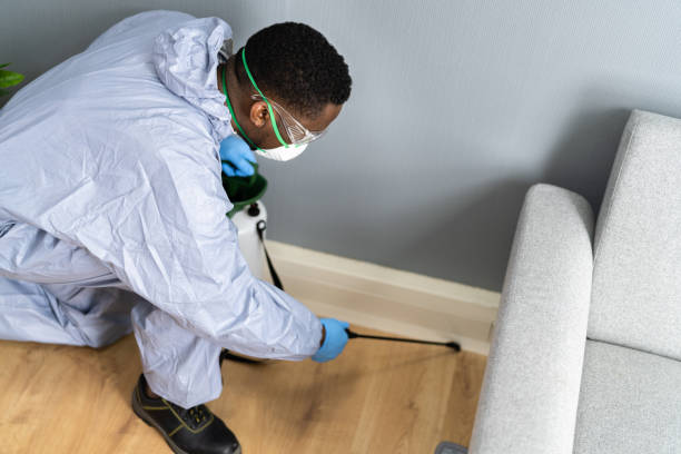 Best Residential Pest Control  in Ionia, MI